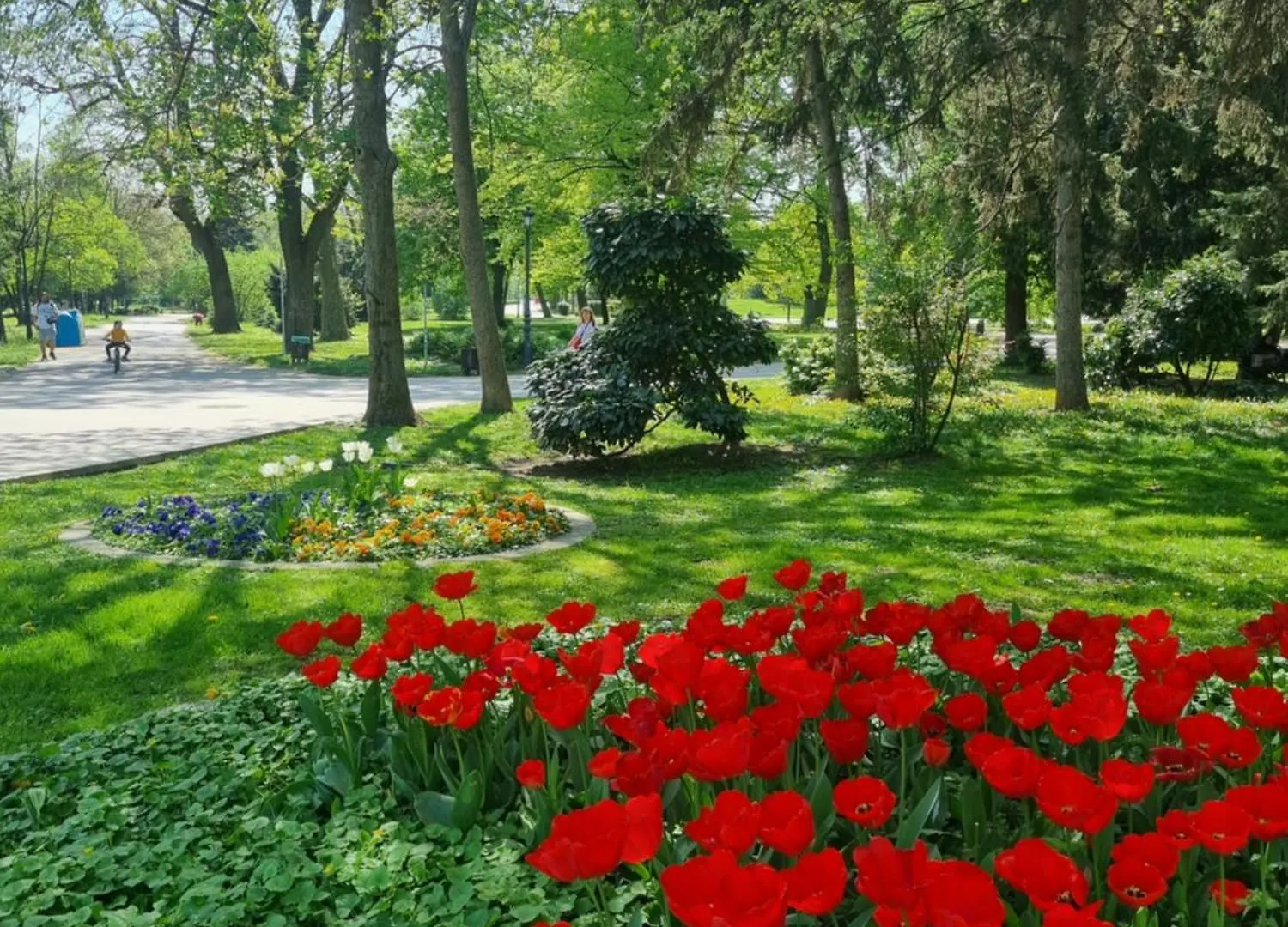 Tulip Dreamland Apartment Sofia