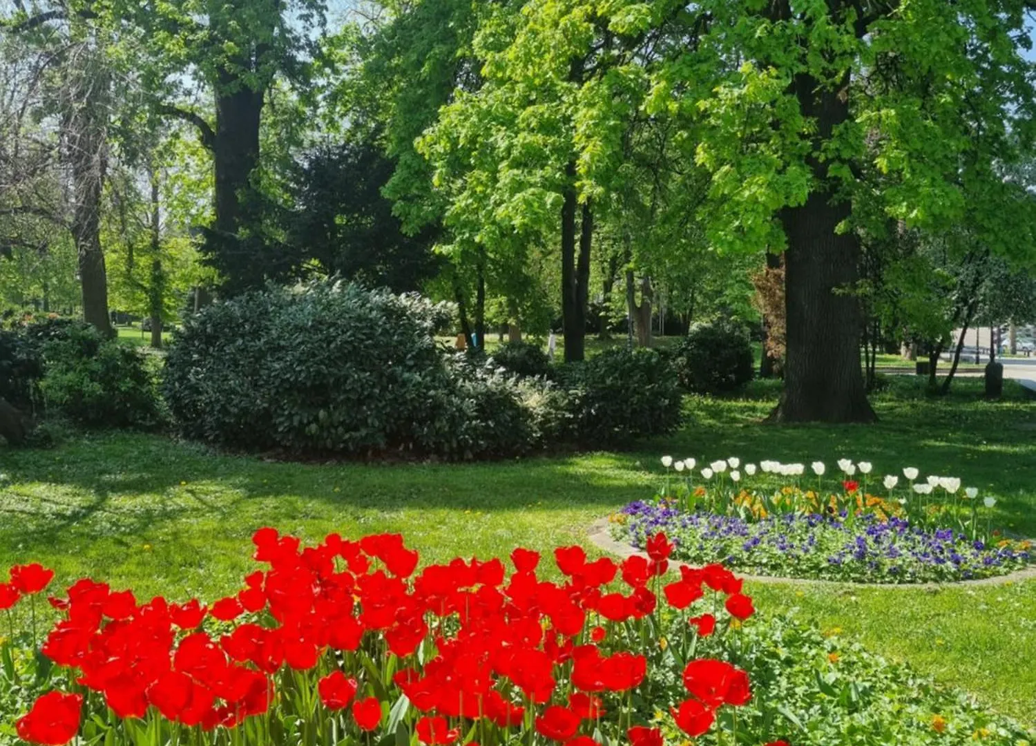 Tulip Dreamland Apartment Sofia 0*,  Bulgaria