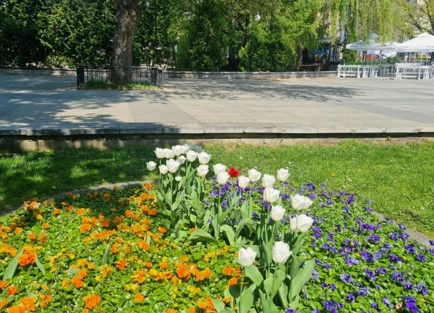 Tulip Dreamland Apartment Sofia