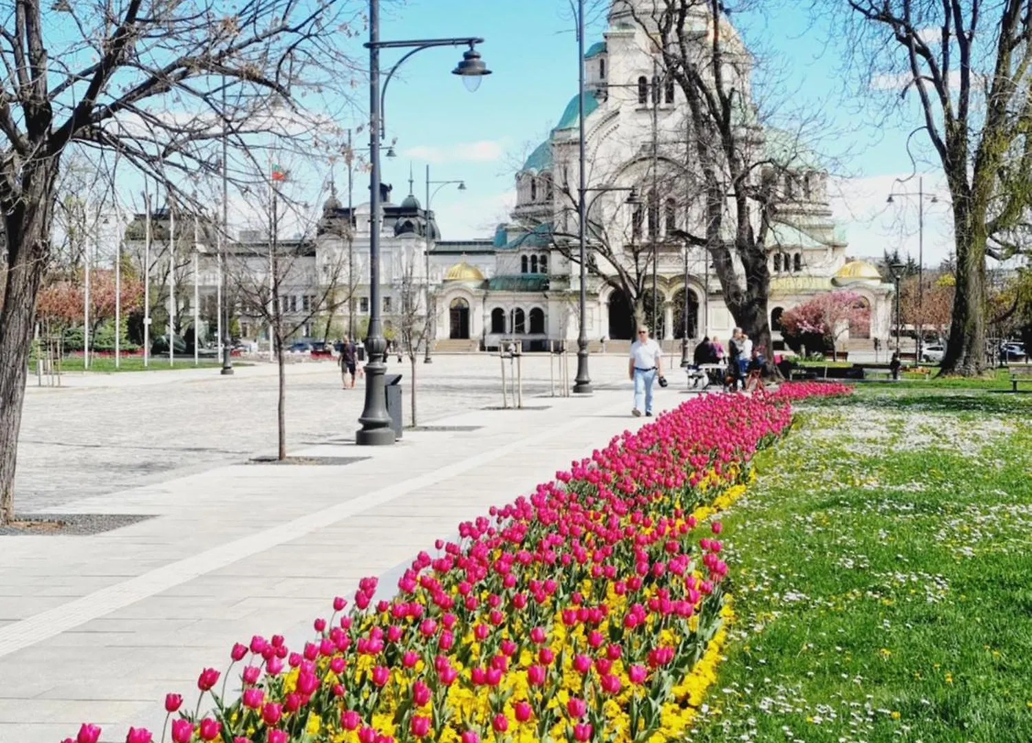 Tulip Dreamland Apartment Sofia