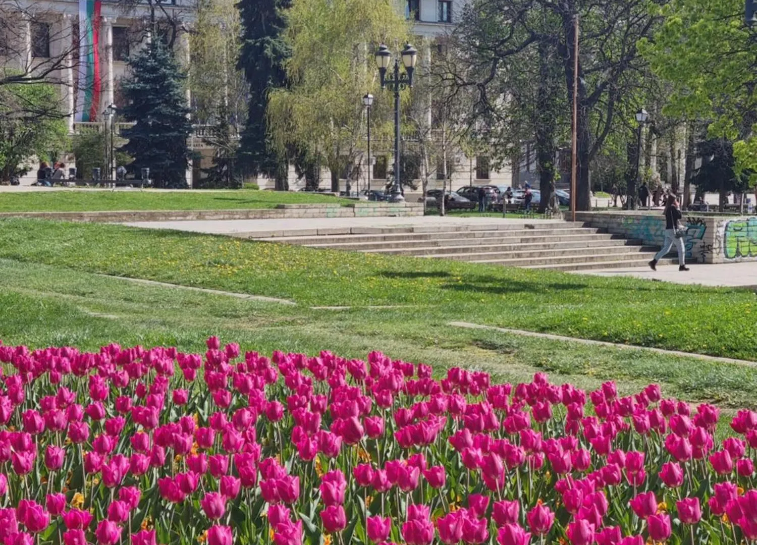 Tulip Dreamland Apartment Sofia
